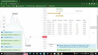 THE BEST RISE FALL STRATEGY ON BINARY BOT TRADING