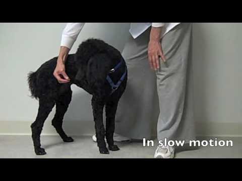 exercise 14.1 class 11 nose to hip stretch