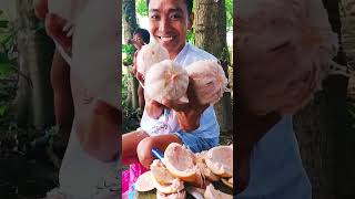 pomelo fruits