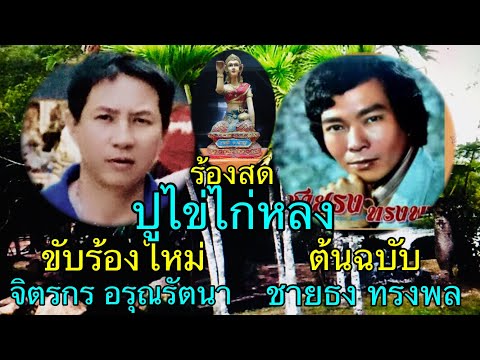 ปูไข่ไก่หลง ชายธง ทรงพล ร้องสด จิตรกร อรุณรัตนา ลูกทุ่งแนวใหม่ เงาเสียงลูกทุ่ง เพลงเก่าร้องใหม่