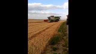 Moisson 2015