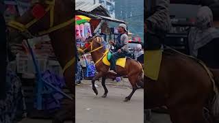 Download Lagu NAIK DELMAN ISTIMEWA - LAGU ANAK POPULER MP3 Download Lagu NAIK DELMAN ISTIMEWA - LAGU ANAK POPULER MP3