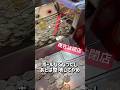 放置して何枚出るか見てみた#ゲーセン#メダルゲーム#コインゲーム#shorts