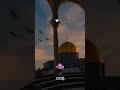 قلب بالحق تعلق وبغار حراء تألق