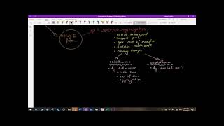 8 2 Energy Flow Through Ecosystem
