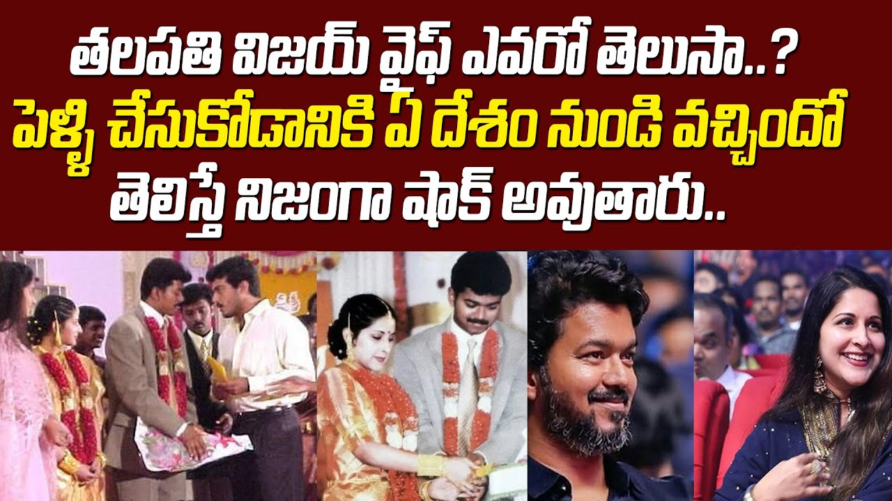 Tamil Actor Vijay and Sangeeta Love Story | Vijay Sangeeta Marriage | Celeb News | Tollywood Nagar
