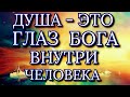 ПРОБУЖДЕНИЕ. ДУША- ЭТО ГЛАЗ БОГА ВНУТРИ ЧЕЛОВЕКА .