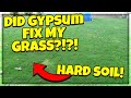Did Gypsum Help Fix My Grass and Lawn with Hard Soil?