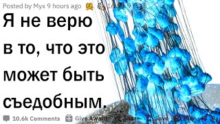 видео: Я не верю в то, что это съедобно картинка: Я не верю в то, что это съедобно