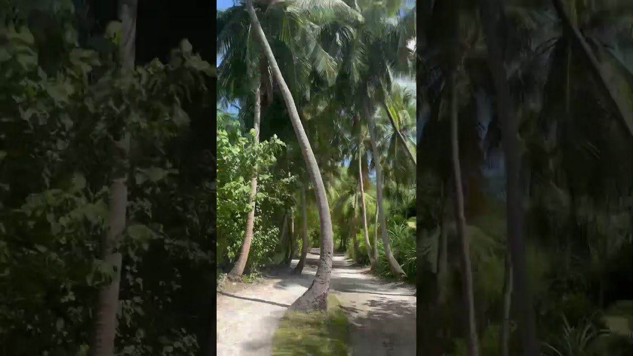 A Quick Jungle Ride to a Secluded Beach Paradise 