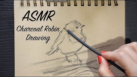 ASMR Robin Charcoal Drawing | Quiet Sketching Session | (No Talking)