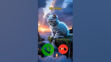 catcall #aicat #ringtone #ringtones #iphone #cat #shorts #catcalling #monkcall #monk #smartphone