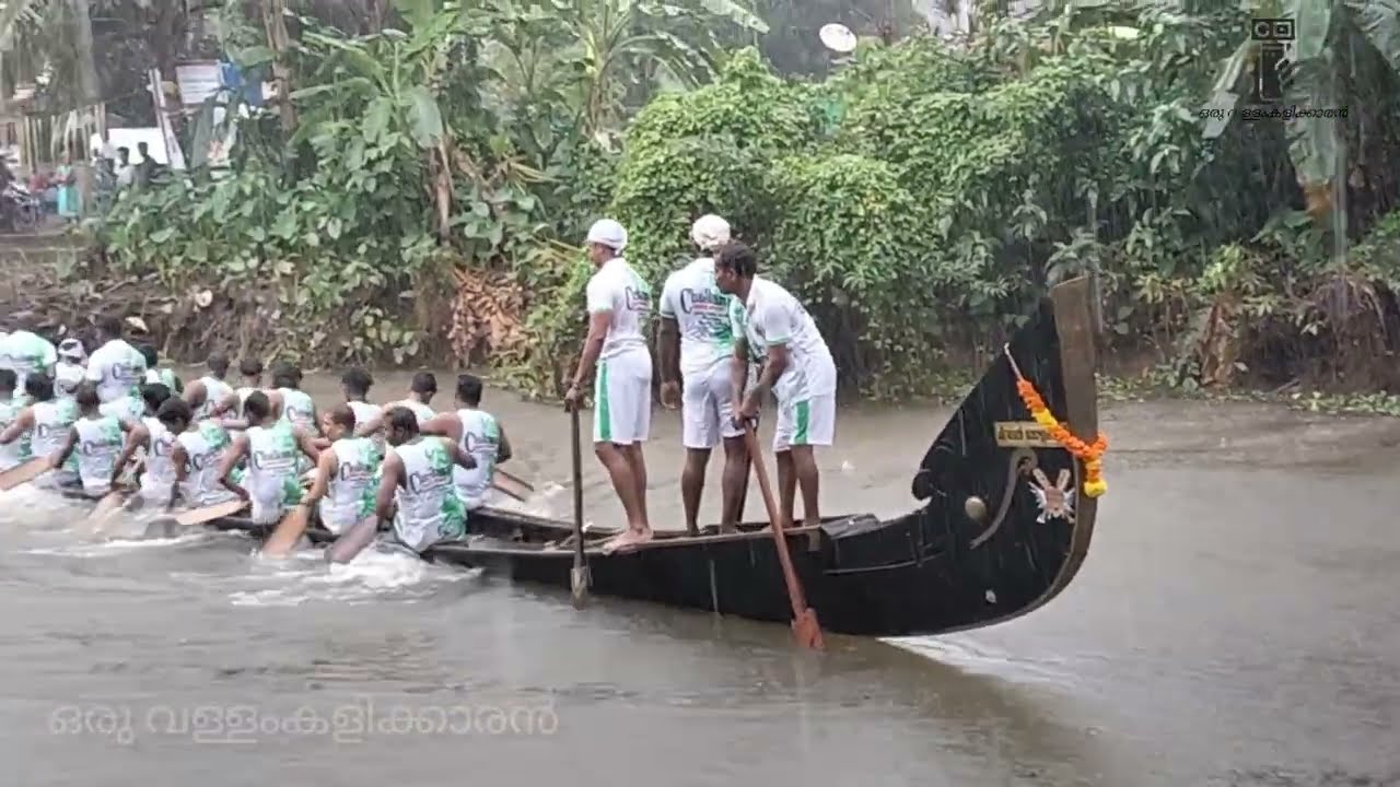 ABC അറുപറ ബോട്ട് ക്ലബ്‌ കുമ്മനം ചിറമേൽ തോട്ടുകടവനിൽ പരിശീലനം ആരംഭിച്ചപ്പോൾ 🔥