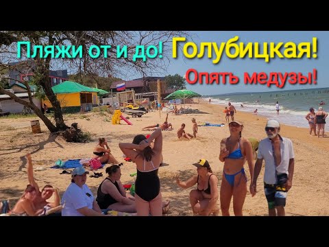 Голубицкая. МЕДУЗЫ -