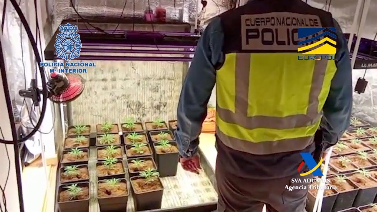 Golpe a la mayor financiera del narco en Europa, de 'hawala' a criptomonedas desde un restaurante