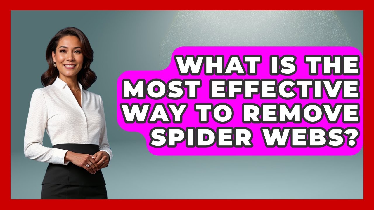 What Is The Most Effective Way To Remove Spider Webs? - Insects and Invaders