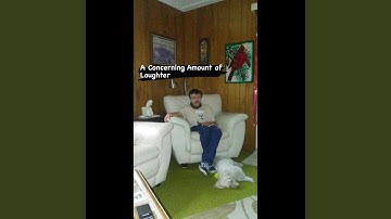 A Concerning Amount Of Laughter
