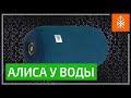 Обзор JBL Link Portable - с Алисой у бассейна