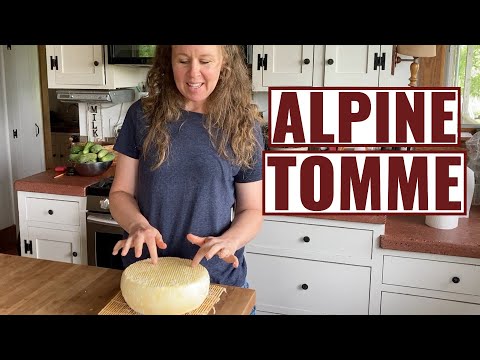 What Is Tomme De Savoie Cheese