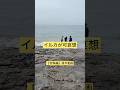 【後半】捕鯨文化体験してきました② #海外 #旅行