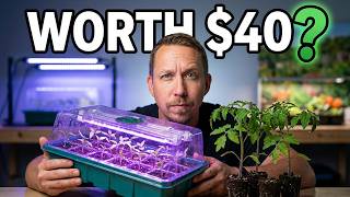 Is This $40 Amazon Seed Tray Actually Worth Buying