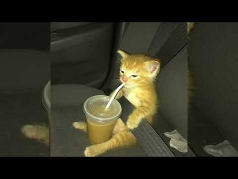 deadman 死人 - YouTube
