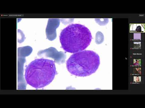 Hemograma y Anemias -  Dra Delia Guillen