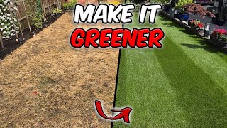 Make your lawn GREENER and get your lawn ready for Autumn