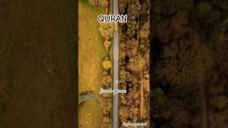 SURAH YOUNUS AYAT 11 TO 14 || QURAN URDU TRANSLATION #quran #trendingshorts #surahyounus