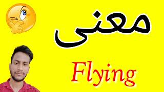 معنى Flying | معنى كلمة Flying | معنى Flying في اللغة العربية | ماذا يقول Flying باللغة العربي