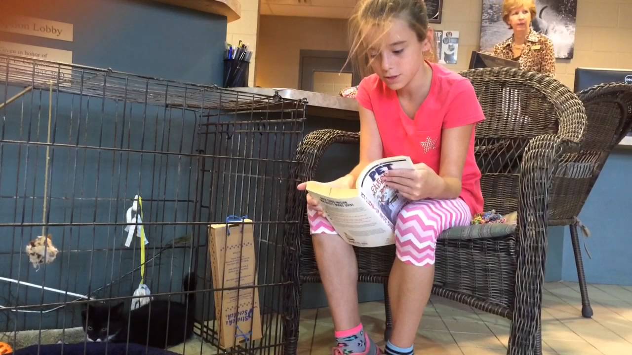 Kids practice reading skills with pets, helping the animals be more adoptable