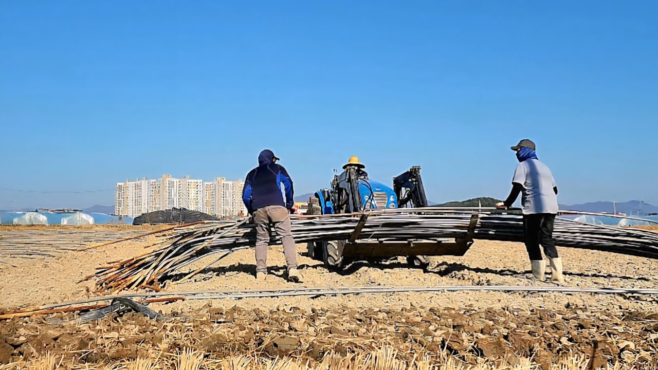 Vlog kerja di korea 82 // Libur Kerja Cari Sampingan Di Sawah