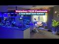 WaterBox 7225 Peninsula 1 Year Tank Update - Saltwater Aquarium Tank Tour!