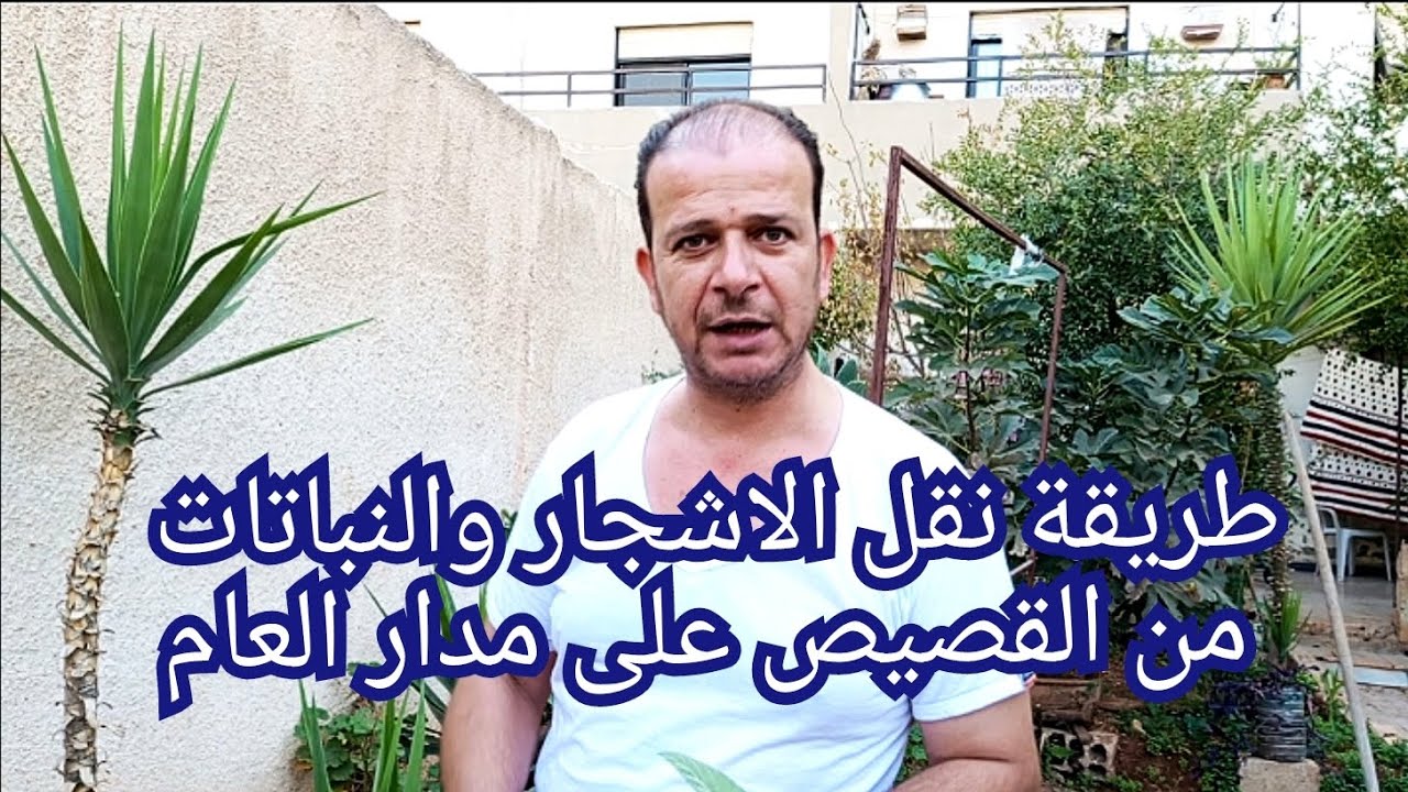 طريقة نقل الأشجار والنباتات من القصيص الى التربة الدائمة