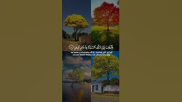 القارئ..اسلام صبحي/السورة..الدخان