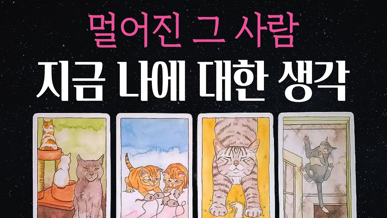 [타로💘]🔮단절된 그 사람 지금 무슨 생각하나요🌷관계흐름 🔥재회,썸 #팩폭