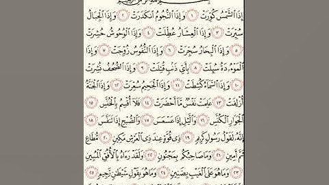 سورة التكوير للشيخ زكي داغستاني رحمه الله