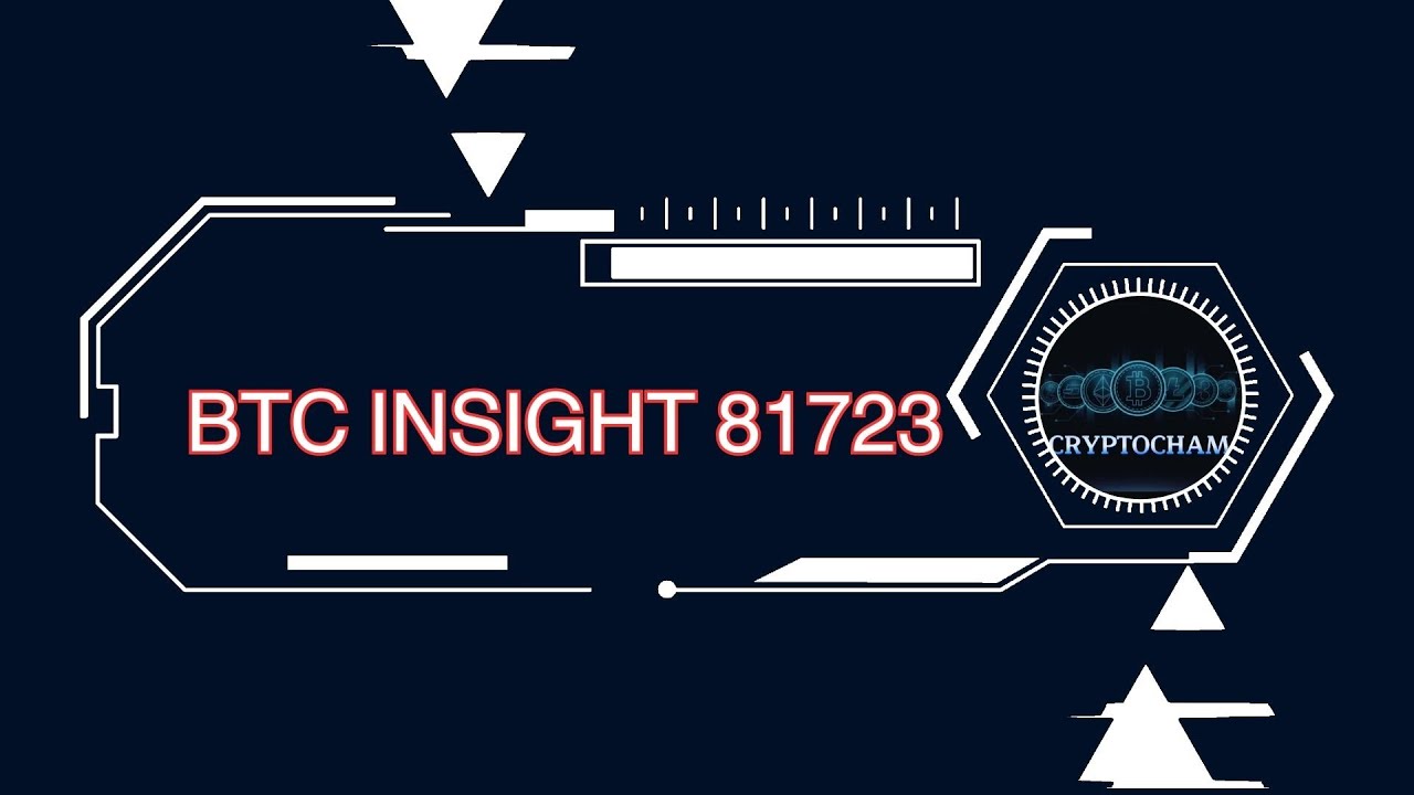 BTC Insight 81723 - YouTube