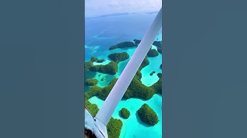 Most beautiful places in Palau #travel #adventure #nature