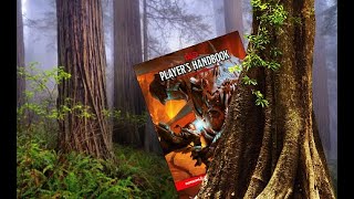 The Quest for the Ultimate Guide: Documenting the D&D Players Handbook in the Wild @JadenCaster