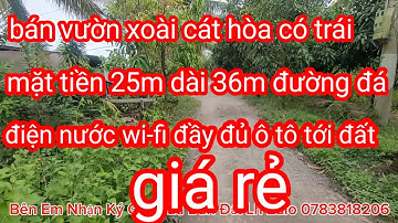 Bán Vườn Xoài cát hòa lọc Có trái, Lh Zalo 0989598415