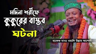 কুকুরের বাস্তব ঘটনা। হাফেজ মাওলানা ওয়ালিউল্লাহ আশেকী। waliullah aashiqui waz 2023