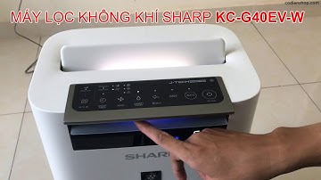 Có nên mua máy lọc không khí Sharp? Review Máy lọc không khí và tạo ẩm SHARP KC-G40EV-W