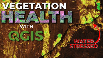 Assess Vegetation Health in QGIS using Satellite Imagery