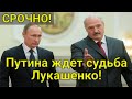 ЖÉСТЬ! Путина ждет судьба Лукашенко! Батька потянет Путина за собой!