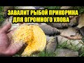 Будете рыбу отпускать, эта прикормка завалит рыбой, прикормка своими руками для аттрактантов