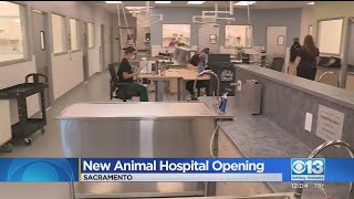 Sacramento SPCA Opens New Animal Hospital