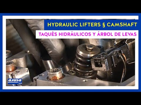 VOLKSWAGEN TOUAREG 2.5 TDI (BAC) Hydraulic Lifters Assembly - Montaje Taqués Hidráulicos