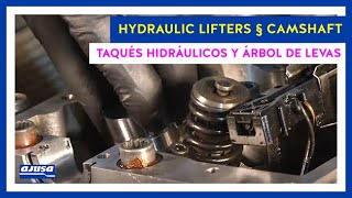 VOLKSWAGEN TOUAREG 2.5 TDI (BAC) Hydraulic Lifters Assembly - Montaje Taqués Hidráulicos