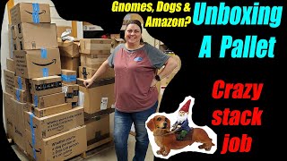 Unboxing the Craziest Stacked Pallet Ever - Dogs Gnomes & Amazon - Weekly specials and more!!!